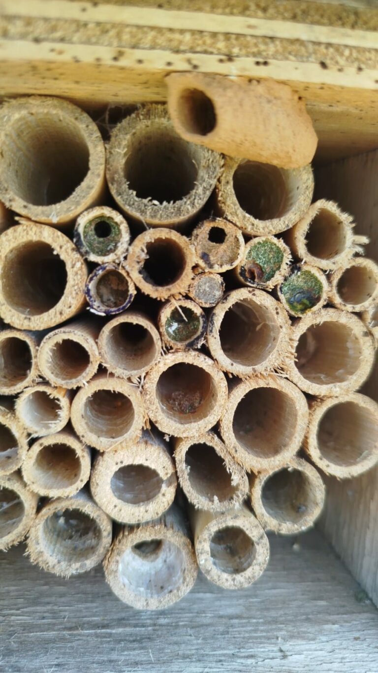 WhatsApp Image 2025-11-12 at 15.24